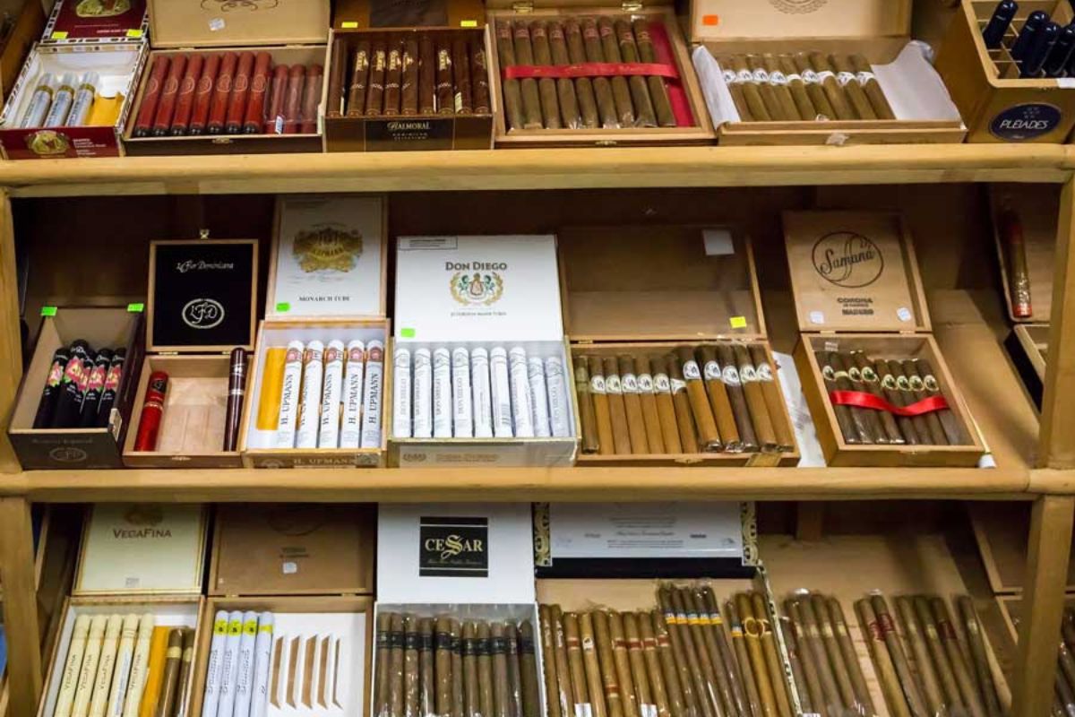 interieur-humidor-prestige-civette-otheo-la-ciotat